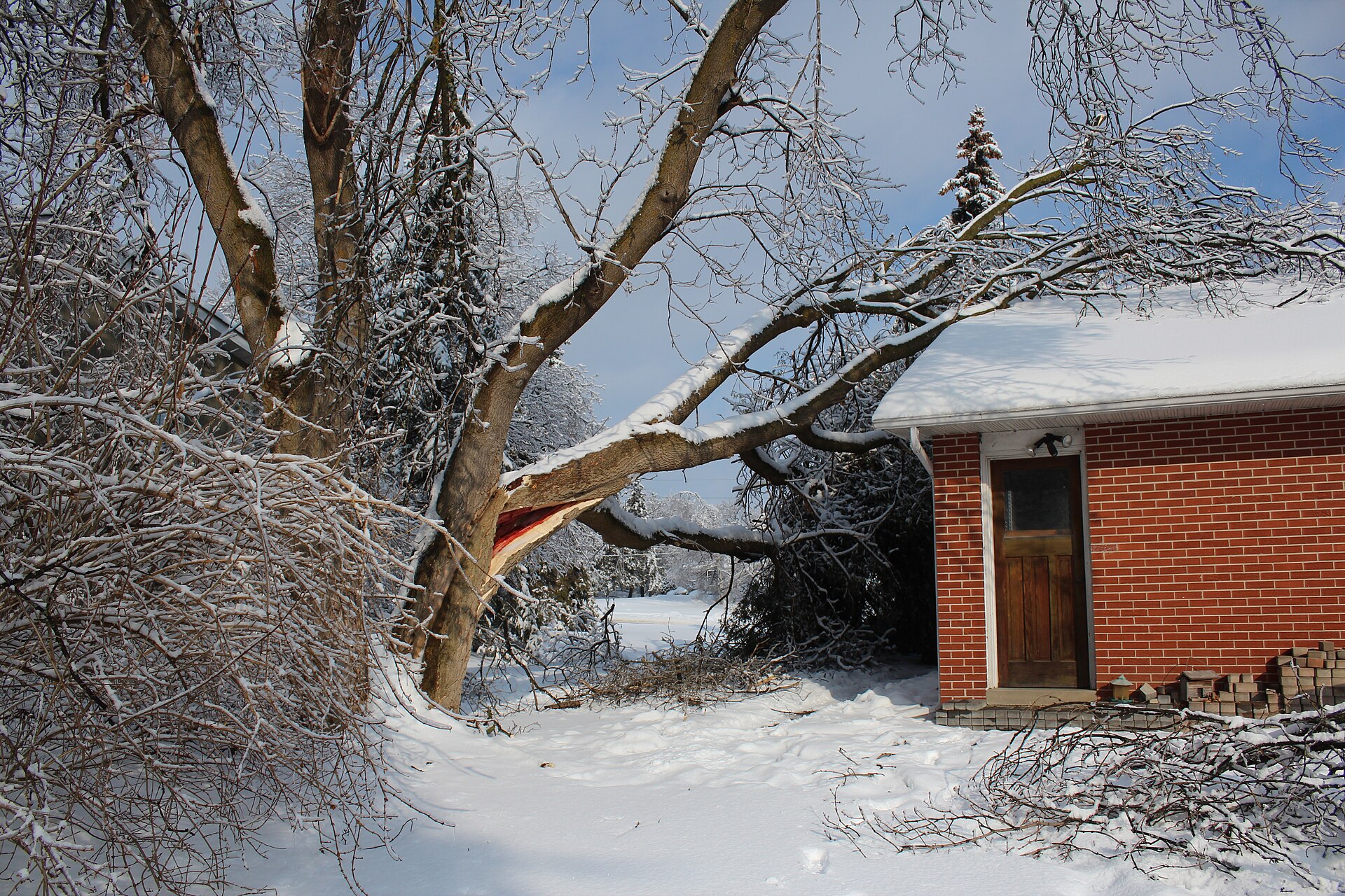 Aerial view of a neighborhood with tree damage and scattered debris after a wind storm
